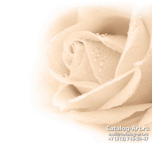 Натяжные потолки с фотопечатью - Белые розы 8